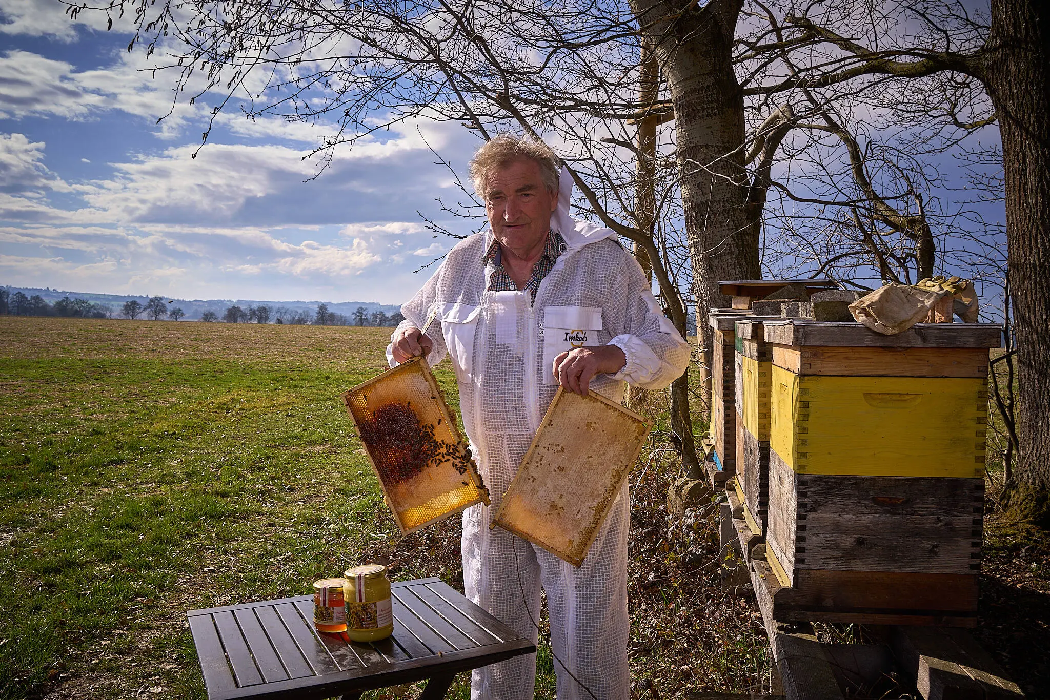 Successful honey year: Despite heat and mites - | Bad Hall beekeeper wins ...