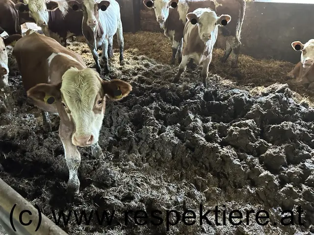 Foto: RespekTiere