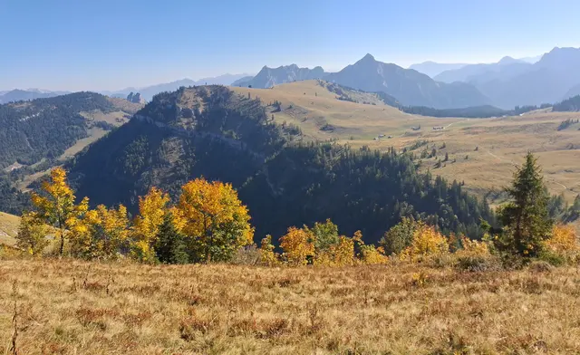 ...schöner Blick, am Weg zum Wieslerhorn, auf dieses riesige Wandergebiet.