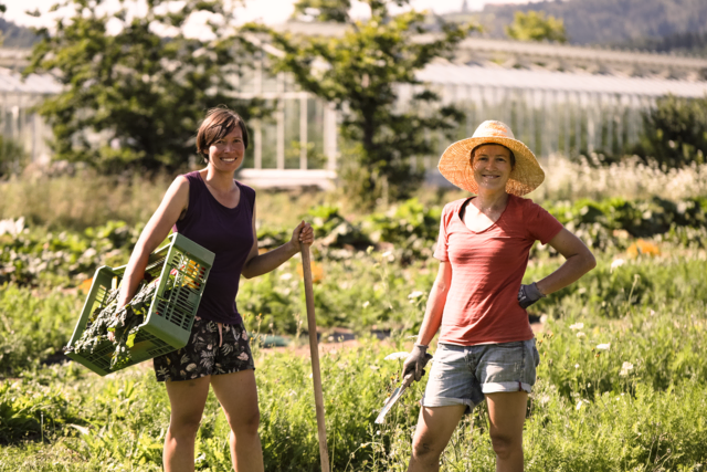  FoodCoops und Solidarische Landwirtschaften (SoLaWis) bringen regionale Lebensmittelversorgung näher zu den Menschen.  | Foto: Almgrün