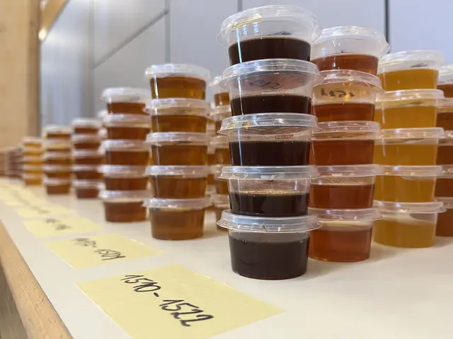 Rekord bei "Die goldene Honigwabe"“: Fachjury bewertet 1.993 Produkte in Wieselburg.
 | Foto: Messe Wieselburg