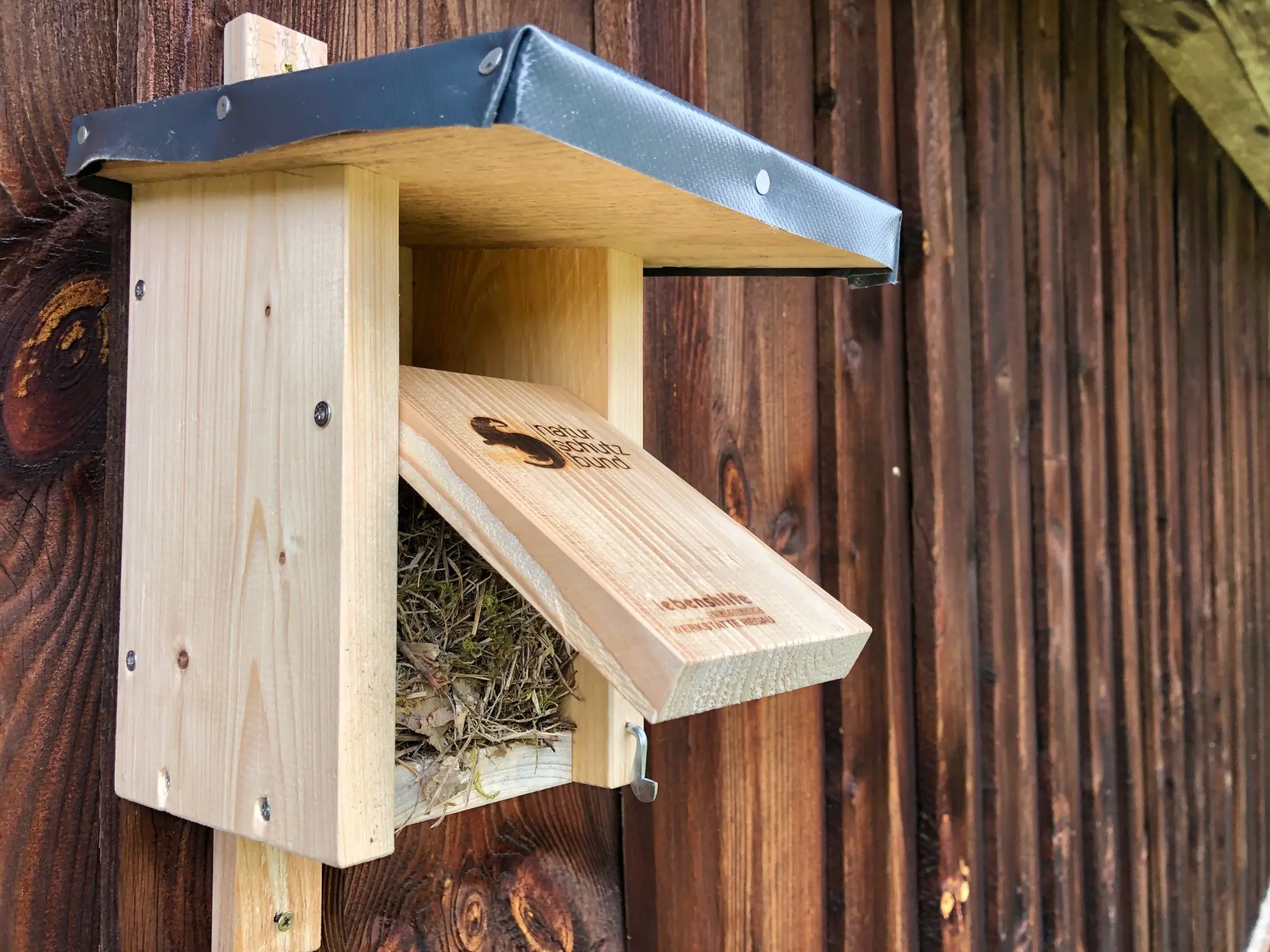Popular sleeping spot: Make nesting boxes winter-ready now - | Linz