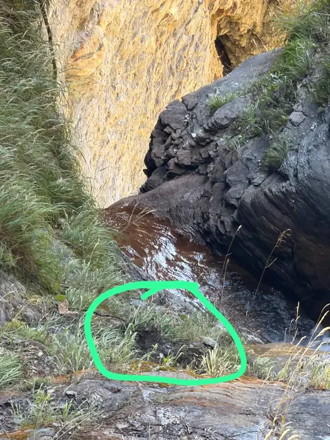 Der Vermisste konnte schließlich in unzugänglichem Gelände knapp über einem Wasserfall schwer verletzt ausfindig gemacht werden. | Foto: Bergrettung Bad Hofgastein/Bergrettungshunde