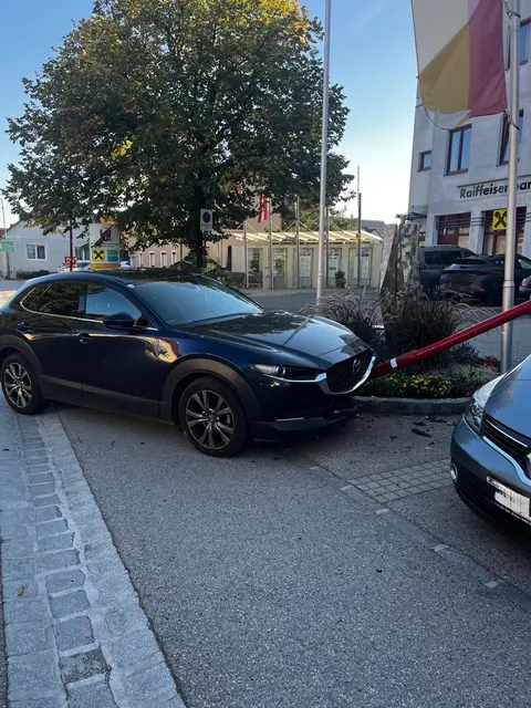 Der Laternenmast stürzte nach dem Aufprall auf einen geparkten PKW.