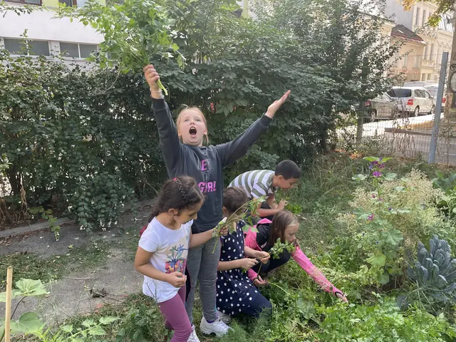 Die Freude über die Ernte ist groß bei den Kleinen. | Foto: Tamara Wendtner
