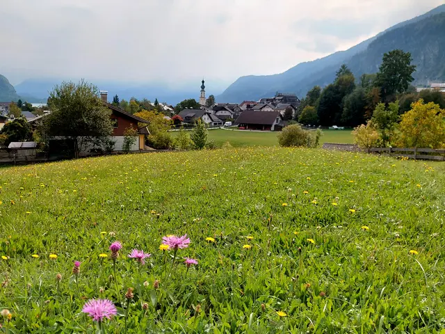 Blick auf St. Gilgen  | Foto: H.Bachinger