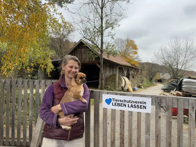 Gundula Höllerer vom Tierschutzverein "Leben Lassen" in Brand-Laaben hat wieder zwei Schützlinge aufgenommen. | Foto: Lauren Fahrenberger / MeinBezirk
