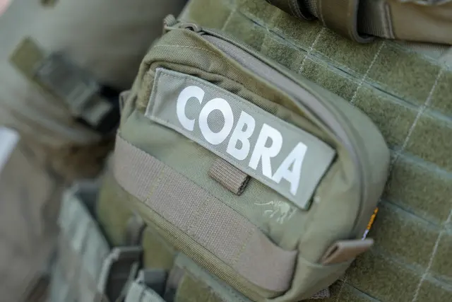 Beteiligt ist unter anderem das Einsatzkommando Cobra.  | Foto: APA-Images / Laurin Christl
