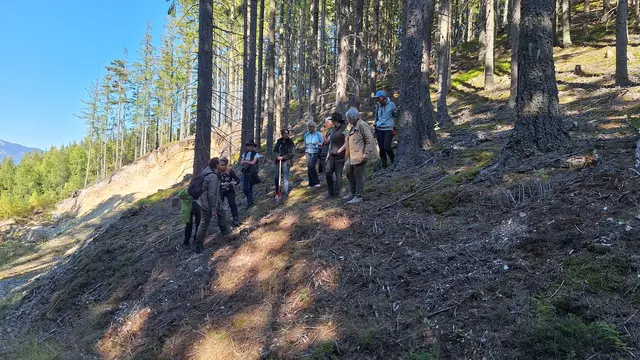 Im Wald wird, anhand der Spatenprobe, der Oberboden analysiert.  | Foto: Katrin Stiper-Mauhart
