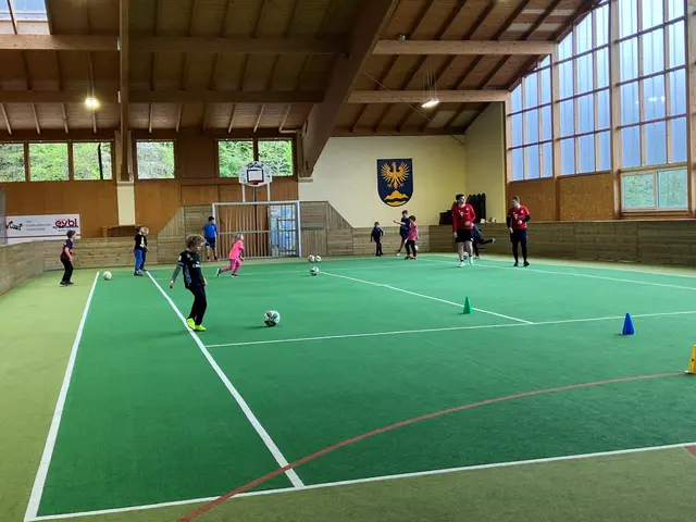 Die Turniere finden in der Steinbach-Halle statt. | Foto: Gemeinde Steinbach am Attersee