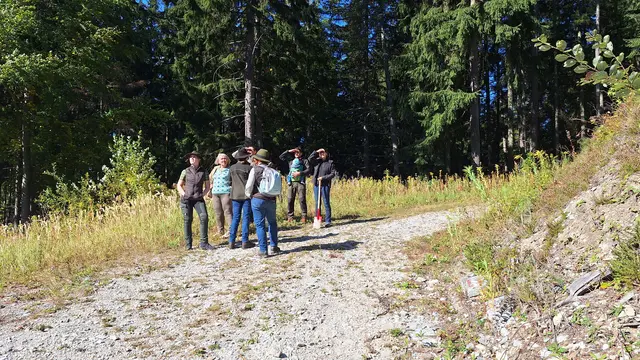 Die Teilnehmerinnen des Waldspaziergangs erkunden verschiedenen Standorte.   | Foto: Katrin Stiper-Mauhart