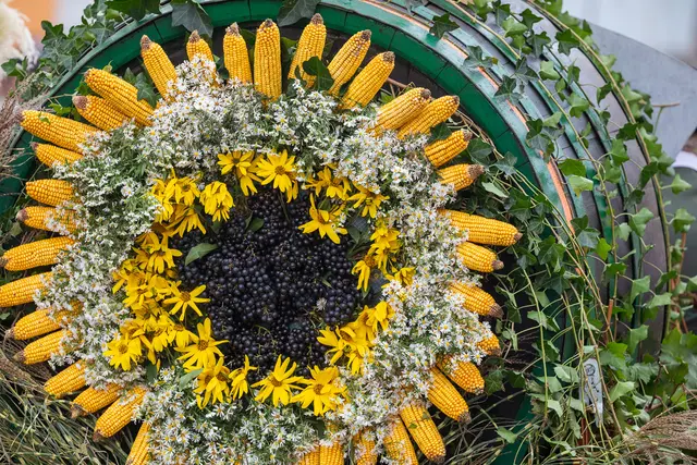 Für alle, die nicht dabeisein können. „Der Südsteirische Winzerzug“ wird am Sonntag, 11. Oktober, um 16 Uhr in ORF 2 und auf ORF ON übertragen. | Foto: ORF Regine Schoettl