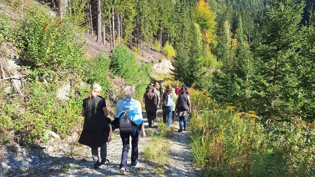 Die Teilnehmerinnen tauschen sich bei der Wanderung über ihre Erfahrungen in der Forstwirtschaft aus.  | Foto: Katrin Stiper-Mauhart
