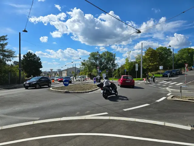 Vor der Fertigstellung des Kreisverkehrs gingen die Meinungen dazu bereits auseinander.  | Foto: Ipirotis/MeinBezirk