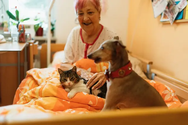 Menschen die letzten Tage so besonders wie möglich zu machen – das ist die Aufgabe von Hospizeinrichtungen. | Foto: pexels / Jsme MILA