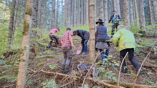 Dagmar Karisch-Gierer führt an einem ausgewählten Waldstandort eine Spatenprobe durch.  | Foto: Katrin Stiper-Mauhart