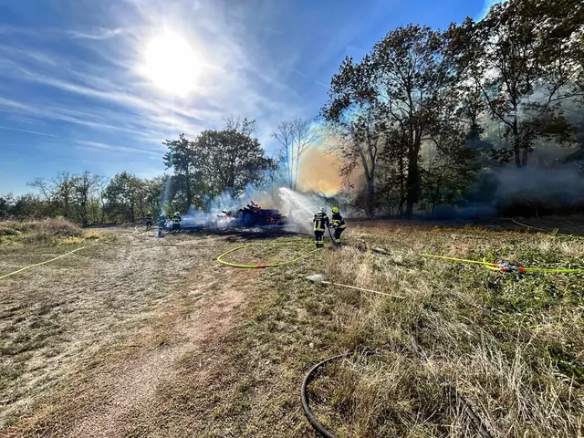 Ein brennender Holzstoß löste den Großeinsatz aus. | Foto: BFKDO Hollabrunn