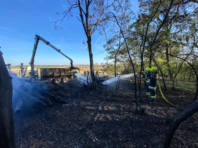 Ein größeres Rundholzlager stellte die Einsatzkräfte vor besondere Herausforderungen. | Foto: BFKDO Hollabrunn