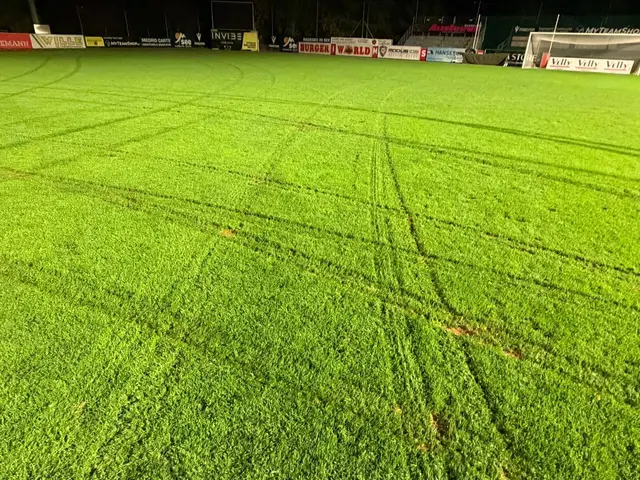 Der bislang unbekannte Lenker drehte mit seinem Fahrzeug mehrere Runden auf dem Sportrasen. | Foto: SC Imst