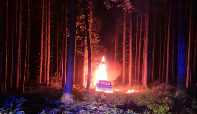 Aus einem Fahrzeugbrand hätte ohne das herzhafte Einngreifen der Feuerwehr schnell ein großflächiger Waldbrand werden können. | Foto: DOKU-NÖ
