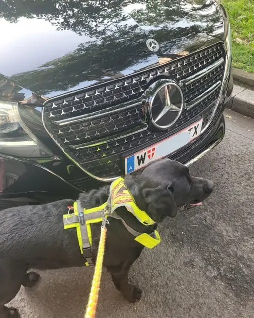 Eine Wienerin war im vergangenen Sommer mit ihrer Tochter und mit ihrem Assistenzhund Kuma unterwegs.  | Foto: Klagsverband zur Durchsetzung der Rechte von Diskriminierungsopfern
