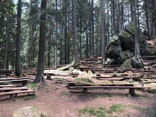 Der "Dom des Waldes" und der Hebalmsee zählen zu den besonderen Ausflugszielen der Gemeinde. | Foto: Wista-Diwa