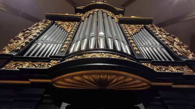 Im Fokus steht die mehr als 300 Jahre alte Orgel der Pfarrkirche. | Foto: Werner Schachinger