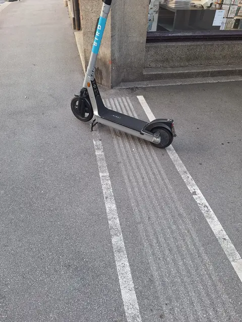 Foto: Reiter