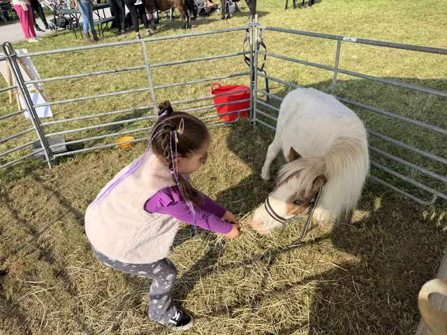 Katharina und Pony Anton.