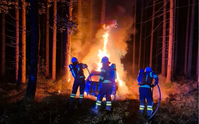 Brennender Pkw im Wald: Die Feuerwehr musste rasch handeln. Die Flammen waren bereits auf einen Baum übergegangen.
 | Foto: DOKU-NÖ