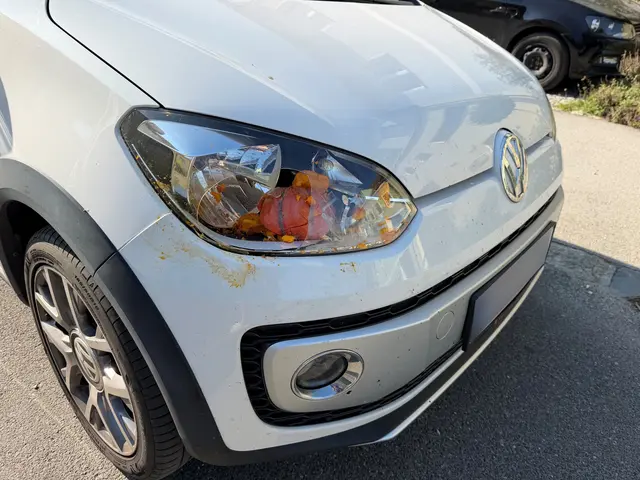 Kürbisse statt Steine: Mit dem gestohlenen Gemüse und Obst wurden im Weinviertel Autos beschädigt. | Foto: LPD NÖ/PI Wolkersdorf