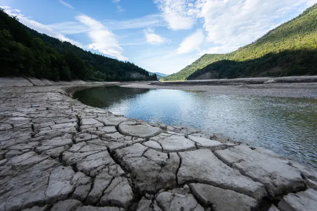 Rekordtief am Wiestalstausee: Der niedrige Wasserstand legt weite Flächen mit Schlamm, Matsch und Algen frei. Aufgenommen am 7. September 2026. | Foto: APA-Images / Georg Kukuvec