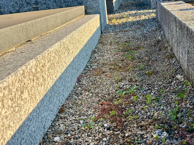 "Jeder sollte sich um die Fläche rund um sein Grab kümmern und dort für Ordnung sorgen.", fordert Bürgermeister Franz Göd. | Foto: Markus Kahrer