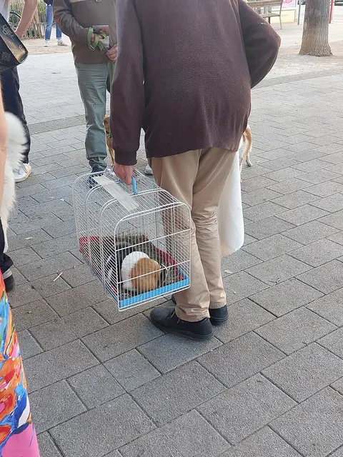 Auch Meerschweinchen wurden gesegnet. | Foto: Frömmel