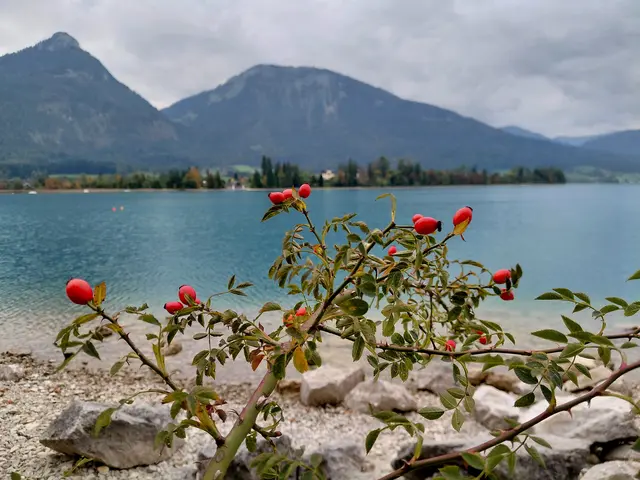 Foto: H.Bachinger