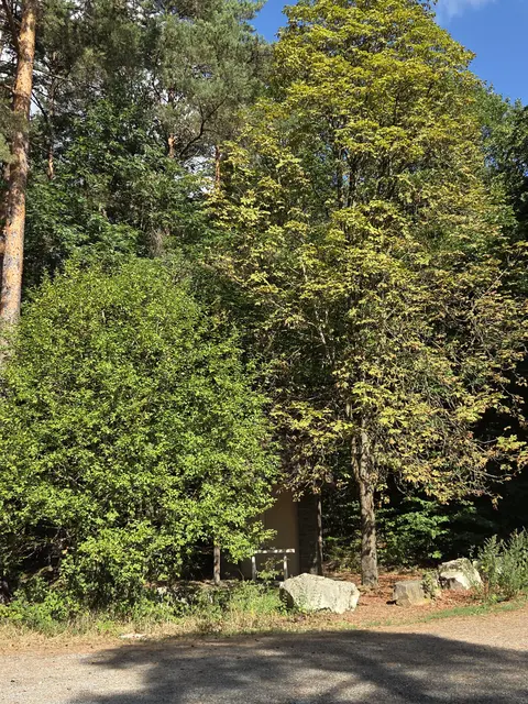 Das Weiße Kreuz liegt eingebettet in die Waldlandschaft rund um Oberwölbling. | Foto: Kleebinder