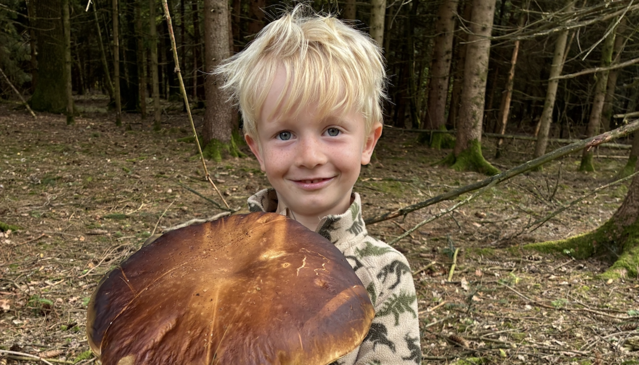 25 Zentimeter großer Steinpilz: Fünfjähriger Maxi aus Peuerbach findet ...