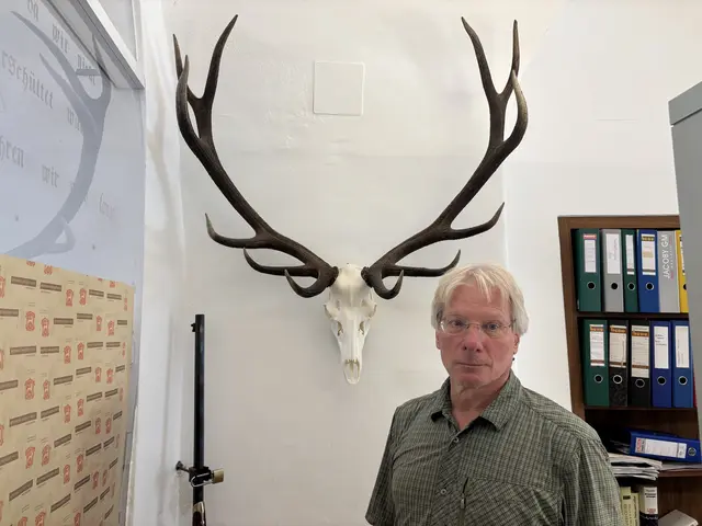 Hermann Sölle gibt Einblick in die Arbeit der Jägerschaft. Reh, Hirsch und Gams liefern hochwertiges Wildbret aus der Region. | Foto: MeinBezirk.at/Kerstin Pussnig