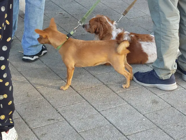 Foto: Frömmel