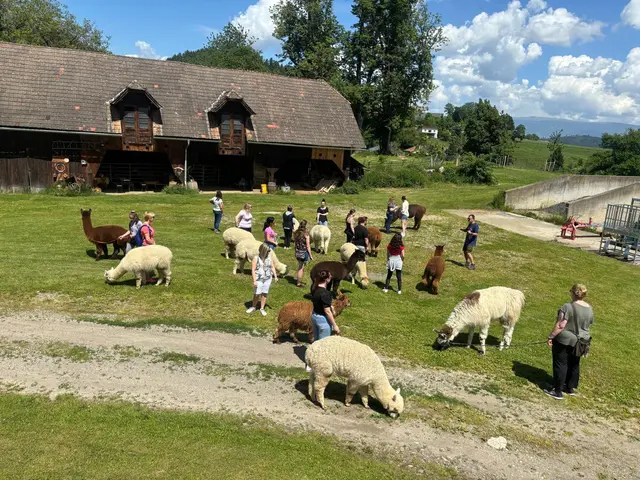 Michaela und Werner Glanzer erweitern ihren Hof in Hintnausdorf um das Keramikprojekt „KerMarieK“.
 | Foto: privat