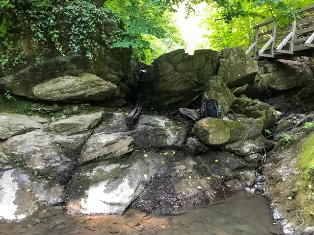 Alpenverein bietet spannende Exkursion durch die Rettenbachklamm. | Foto: Franziska Pronneg