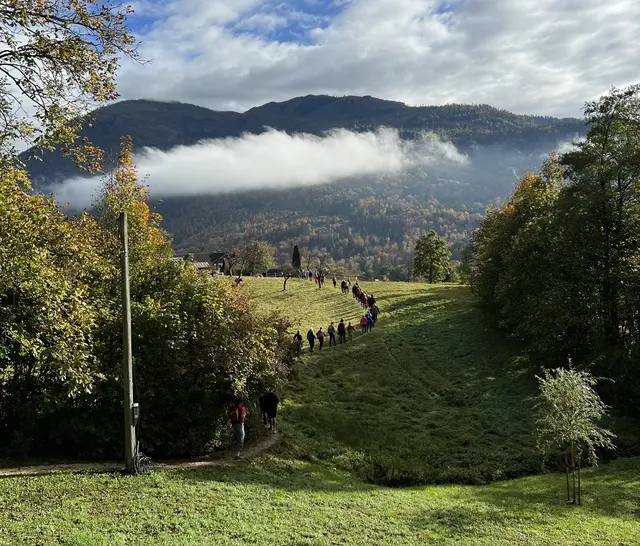 Anlässlich des Nationalfeiertages wird in Bad Ischl wieder gemeinsam gewandert. | Foto: www.badischl.at