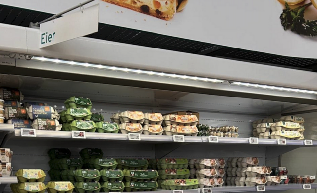 Unsere Eierproduzenten hoffen, dass die Kunden im Supermarkt nach der Preiserhöhung nicht zu "billigen" Eiern aus Bodenhaltung greifen. | Foto: MeinBezirk.at
