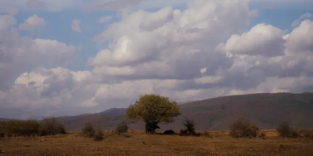 Wetter in Niederösterreich: Wolken und Sonne wechseln sich ab, dazu bleibt es für die Jahreszeit mild.
 | Foto: Pexels (Symbolbild)