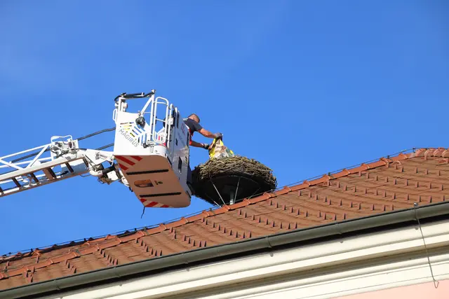 Das Storchennest wurde behutsam an seinen Platz gebracht und ist nun bezugsfertig. | Foto: HALB Marketing + Kommunikation