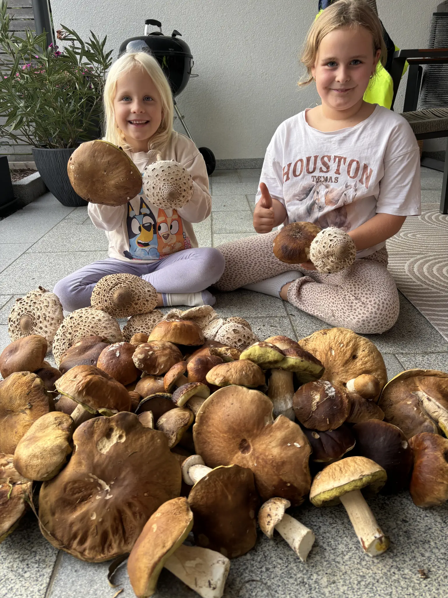 Sammeln: Mega Schwammerlfund in Esternberg - Schärding