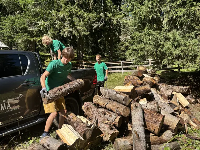 Über zehn Tonnen Holz wurden nur an einem einzigen Nachmittag zur Brennholzverarbeitung gesammelt und transportiert. | Foto: meinbezirk.at/Alen Grabic