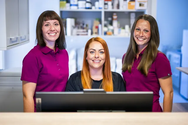 Johanna Dietrich (v.l.), Franziska Dietrich, Nadine Diethart freuen sich über die Zusammenarbeit.