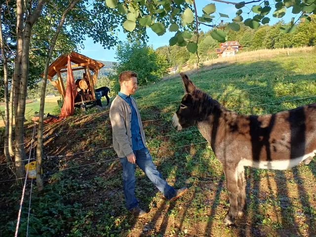Sozialarbeiter Philipp Stramec mit einem seiner Esel auf der „Philipps Naturinsel“ in Bad Schwanberg.
