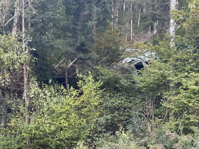 Sowohl der Lkw als auch der Anhänger rutschten über den Hang ab und überschlugen sich. | Foto: Feuerwehr St.Peter-Spittal